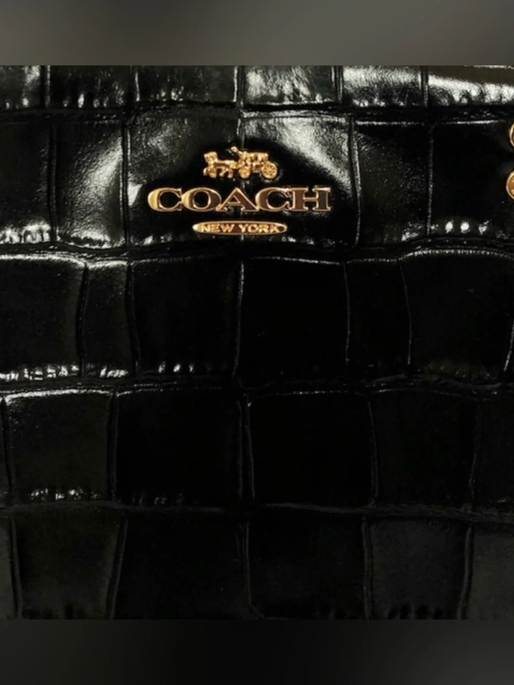 COACH Croc Lillie Carryall